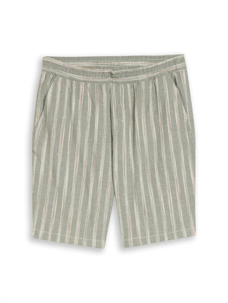 TTRELAXED Shorts mit Leinenanteil sea spray green stripe