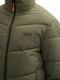 urban olive green