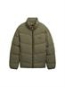 urban olive green