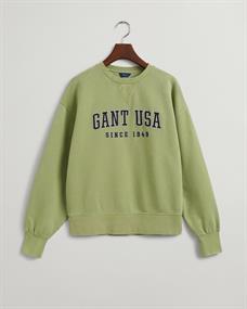 USA Graphic Rundhals-Sweatshirt eucalyptus green