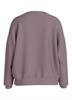 VIREFLECT CITY O-NECK L/S TOP/LC toadstool