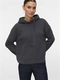 VMNEAT LS HOOD PULLOVER LCS asphalt