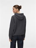 VMNEAT LS HOOD PULLOVER LCS asphalt