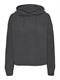 VMNEAT LS HOOD PULLOVER LCS asphalt