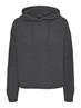 VMNEAT LS HOOD PULLOVER LCS asphalt