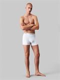white, white, white