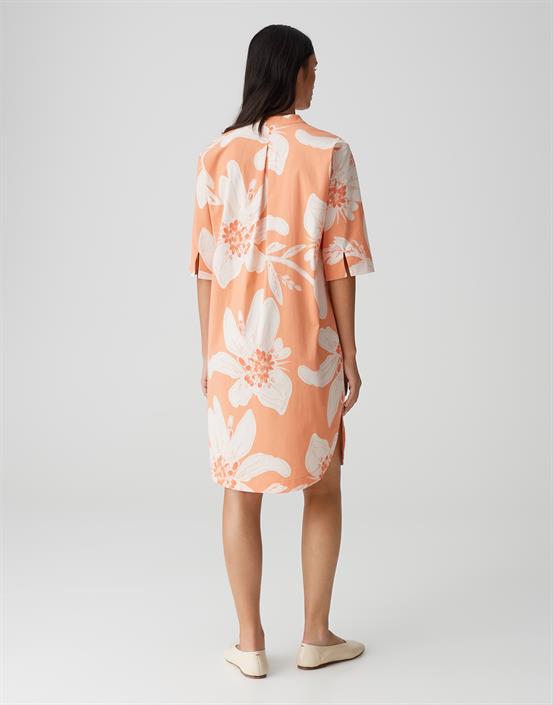wiara-pale-orange
