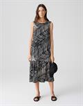 Wicy palm leaves black