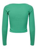 winter green