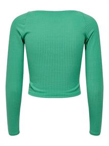 winter green