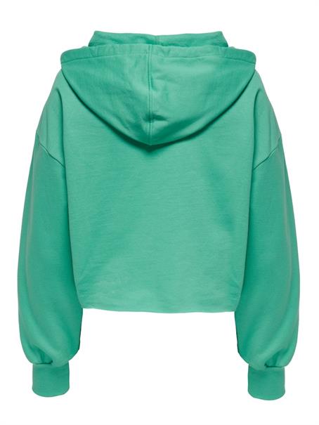winter green