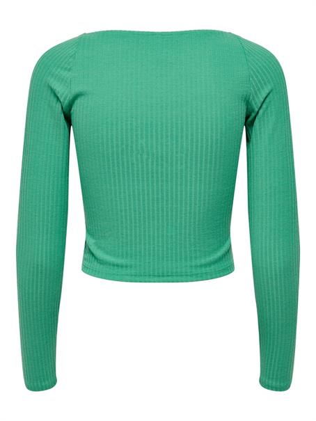winter green