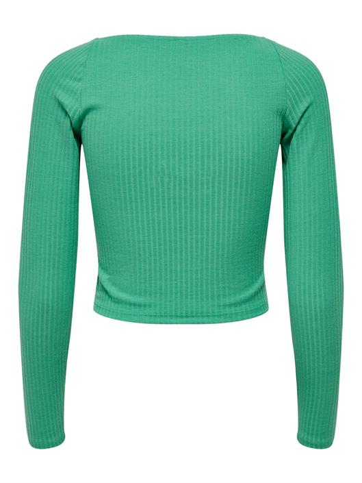 winter-green