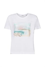 Women T-Shirts short sleeve white